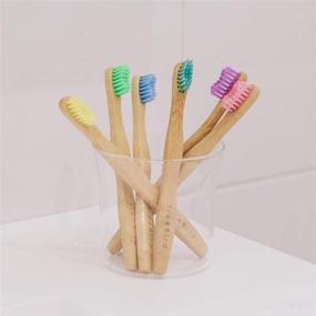 img 1 attached to Toothbrush Bristles Eco Friendly Compostable Brushheads