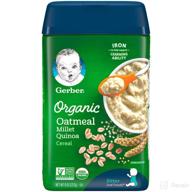 🥣 organic oatmeal millet quinoa gerber baby cereal - 8 oz logo