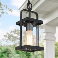 уличный подвесной светильник в стиле фермерского дома: подвесной светильник laluz 1-light chandelier с прозрачным стеклом матового черного цвета логотип
