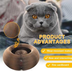 img 2 attached to 🐱 Grey Magic Organ Cat Scratching Board - Durable, Foldable & Convenient Cat Scratcher Toy with Grinding Claw Scratching Ball