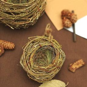 img 1 attached to Set Of 2 Natural Twig Bird Nests & Home Made Rattan Planters - 4.5" & 7.5