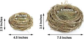 img 2 attached to Набор из 2 птичьих гнезд из натуральных веток и самодельных горшков из ротанга - 4,5 дюйма и 7,5 дюйма