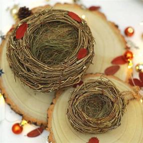 img 4 attached to Set Of 2 Natural Twig Bird Nests & Home Made Rattan Planters - 4.5" & 7.5