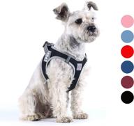 negbpol step in puppy harness - all-weather mesh, comfortable & breathable - small to medium dogs, cats, puppies - luxury black m logo