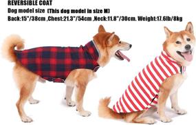 img 2 attached to Letydog Reflective Striped Reversible XX Large