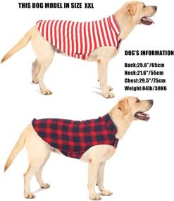 img 1 attached to Letydog Reflective Striped Reversible XX Large