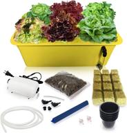 grow fresh herbs at lightning speed: complete dwc hydroponic system kit with large airstone, 6-site bucket, and air pump for indoor kitchen garden логотип