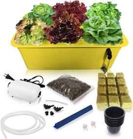img 4 attached to Grow Fresh Herbs At Lightning Speed: Complete DWC Hydroponic System Kit With Large Airstone, 6-Site Bucket, And Air Pump For Indoor Kitchen Garden