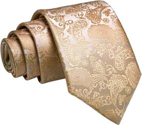 img 2 attached to Paisley Wedding Business Accessories for Men: JEMYGINS Handkerchief, Ties, Cummerbunds & Pocket Squares