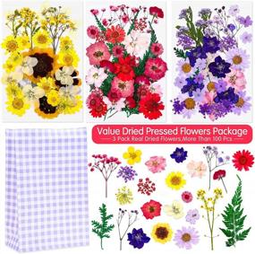 img 2 attached to Thrilez 100Pc Real Dried Flowers For Resin: Perfect For DIY Crafts, Jewelry And Candle Making In Purple, Yellow And Red