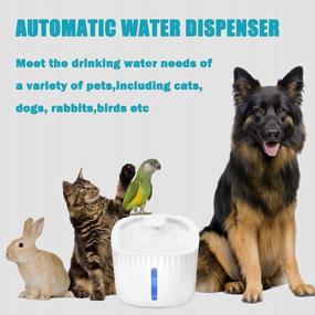 img 2 attached to Arespark 3L / 100Oz Silent Water Fountain для кошек - автоматический дозатор питьевой воды с 4 сменными фильтрами - идеальная миска с водой для кошек и собак внутри, обеспечивающая свежую и фильтрованную воду