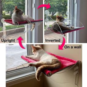 img 2 attached to 🐱 Lazy Lion Cat Window Hammock: Stylish and Multi-Use Cat Window Perch for Windows and Walls - Medium, Pink-Grey