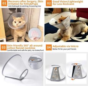 img 2 attached to Soft-Rim Comfy Plastic Cat Elizabeth Cone Collar - Ideal for Post-Surgery Recovery and Wound Healing