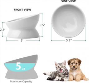 img 1 attached to Elevated Ceramic Cat Food Bowl With Tilted Design For Neck And Spine Protection - Anti-Vomiting, Small Dog And Kitten Supplies - Pure White, 5 Inches