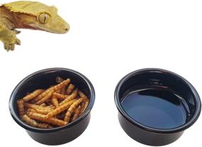 img 4 attached to 🦎 MRTIOO Crested Gecko Feeder Cups: Premium Reptile Food and Water Bowls - Ideal Lizard & Small Pet Accessories - Black 2pcs