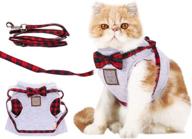 🐱 premium cat harness and leash set - adjustable soft vest for safe walking/running with kittens and cats logo