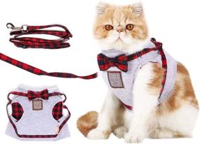 img 4 attached to 🐱 Premium Cat Harness and Leash Set - Adjustable Soft Vest for Safe Walking/Running with Kittens and Cats