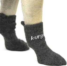 img 1 attached to Kurgo Blaze Dog Socks - Stretchy Dog Shoes Socks - Eases Dog 🐾 Shoes Application - Outdoor Pet Socks - Heel Tab, Quick-Drying Material, Snug Fit - Medium