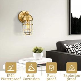 img 2 attached to Modern Brass Vanity Light Fixture - Emliviar GE255B BG Wall Sconce With Clear Tempered Glass, Gold Finish