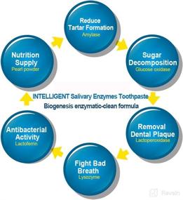 img 2 attached to 🦷 Revolutionary Enzymatic Teeth Whitening Toothpaste for a Brighter Smile