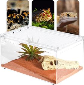 img 1 attached to REPTI ZOO Enclosure Terrarium Invertebrates Reptiles & Amphibians good for Terrariums