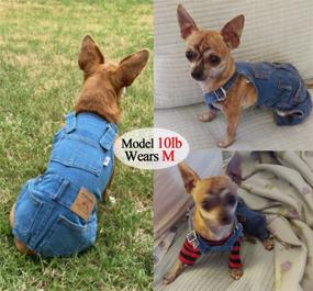 img 1 attached to 🐶 Stylish Denim Overalls for Dogs & Cats: Fashionable Pet Clothes for Boy & Girl, Comfortable Jeans Apparel for Small to Medium Breeds