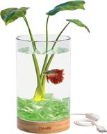 🐠 eraark mini betta fish tank self cleaning fish bowl with led light, crystal stone and usb lamp holder - decorative flower pot hydroponic plant terrarium aquarium kit for beginners (green) logo