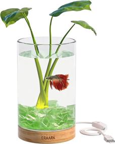 img 4 attached to 🐠 ERAARK Mini Betta Fish Tank self Cleaning Fish Bowl with LED Light, Crystal Stone and USB lamp Holder - Decorative Flower Pot Hydroponic Plant Terrarium Aquarium Kit for Beginners (Green)