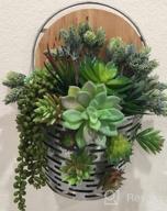 img 1 attached to Supla 14 Pcs Artificial Succulents Plants In Bulk Assorted Unpotted Hanging String Of Pearls Cactus Aloe Picks Small Fake Succulents For Wreath Centerpiece Floral Arrangement Indoor Outdoor Home Décor review by Eddie Breezy