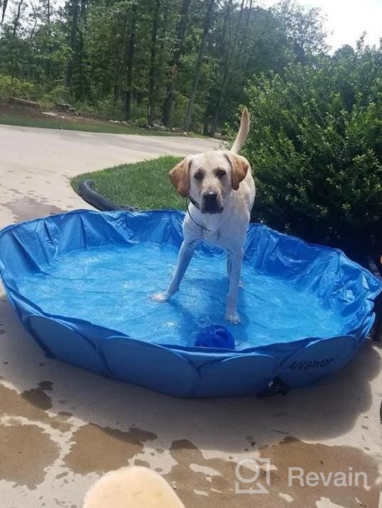 img 1 attached to Portable Foldable Pet Swimming Pool For Dogs And Cats - Indoor/Outdoor Bathing And Ball Pit - 42"X12" Size - Patent Pending review by Mark Fleming