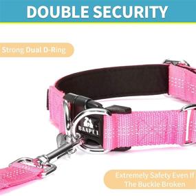 img 3 attached to 🐶 BAAPET Comfortable Dog Collar for Small Puppy, Medium and Large Dogs - Double Security Dual D-Ring and ID Tag Hanger Included