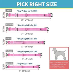 img 1 attached to 🐶 BAAPET Comfortable Dog Collar for Small Puppy, Medium and Large Dogs - Double Security Dual D-Ring and ID Tag Hanger Included