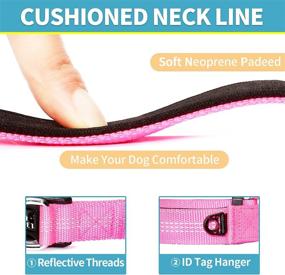 img 2 attached to 🐶 BAAPET Comfortable Dog Collar for Small Puppy, Medium and Large Dogs - Double Security Dual D-Ring and ID Tag Hanger Included