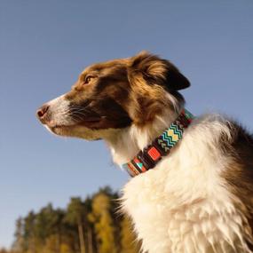 img 2 attached to Trendy Yet Practical: Adjustable Tribal Dog Collar With A Quick Release Buckle For Small To Large Breeds
