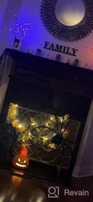 img 6 attached to 70 LED Battery Operated Twig Branches - Fairy Lights For Home Winter Christmas Decorations Indoor/Outdoor Use