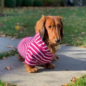 img 3 attached to Django Boysenberry Dog Hoodie: Super Soft Sweater with Elastic Waistband & Leash Portal (Medium)