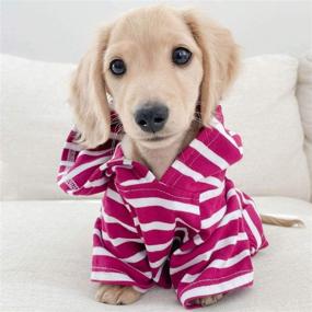 img 2 attached to Django Boysenberry Dog Hoodie: Super Soft Sweater with Elastic Waistband & Leash Portal (Medium)