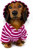 django boysenberry dog hoodie: super soft sweater with elastic waistband & leash portal (medium) logo