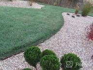 img 1 attached to Revitalize Your Lawn With Endurant Green Grass Paint – Eco-Friendly And Pet-Safe Solution For Dry Or Patchy Lawn review by Joseph Willis