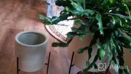img 1 attached to Mid-Century Ceramic Planter With Stand In White By Rivet - 14" Height review by Smokeythecryptkeeper Kaewchay