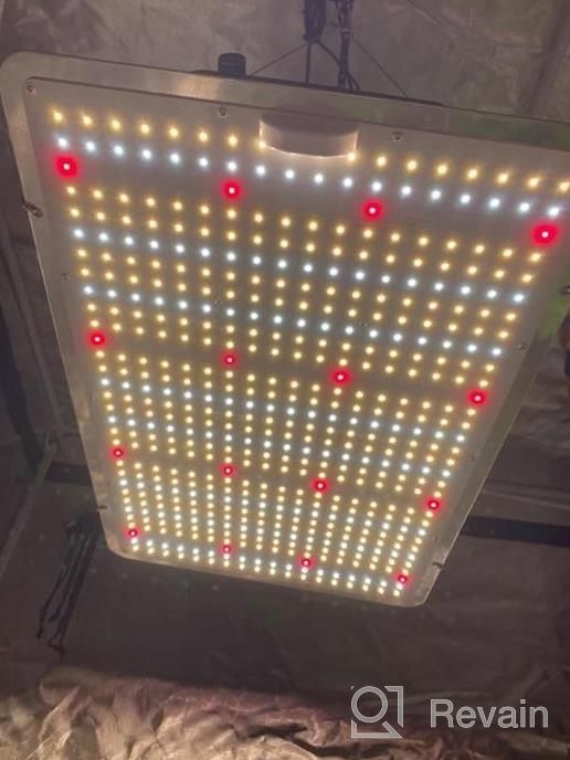 img 1 attached to Dimmable Waterproof LED Grow Light For Indoor Plants - Phlizon PL-3000W With Samsung LM301B LEDs And Full Spectrum Coverage For Hydroponics And 4X4Ft Grow Space review by Michelle Ortiz