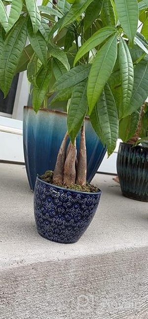img 1 attached to Set Of 2 Blue Ceramic Plant Pots With Drainage Hole For Snake Plants, Orchid, Succulent, Cactus - 5.5 + 6.5 Inch Indoor Flower Pots For Indoor And Outdoor Gardens By DeeCoo review by Benjamin Cleveland