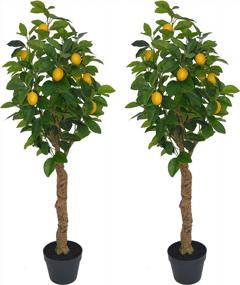 img 3 attached to Преобразите свое пространство с помощью великолепных искусственных лимонных деревьев AMERIQUE высотой 4 фута - реалистичные функции, технология Real-Touch и скульптурные стволы из смолы