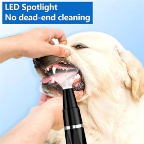 img 1 attached to 🐾 Pet Dental Care Kit – Ultrasonic Plaque Remover Toothbrush for Dogs and Cats, Teeth Cleaning Solution with Tartar Remover, Stain Remover (Black)