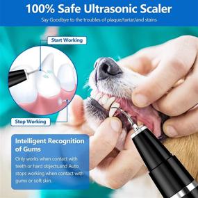 img 3 attached to 🐾 Pet Dental Care Kit – Ultrasonic Plaque Remover Toothbrush for Dogs and Cats, Teeth Cleaning Solution with Tartar Remover, Stain Remover (Black)