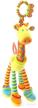 richchoice giraffe baby educational toys logo