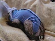 img 1 attached to Cat And Dog Surgical Recovery Suit With E-Collar Alternative - Professional Abdominal Wound Protection And Comfortable Onesie Pajama For Post-Surgery Pets, Ideal For Cats review by Kyle Earley