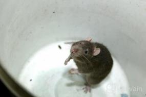 img 5 attached to Effective Indoor-Outdoor Multi-Catch Trap: Bucket Lid Mouse Rat Trap With Humane/Lethal Options