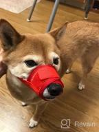 img 1 attached to Breathable Nylon Mesh Dog Muzzle With Adjustable Straps - Quick Fit Pet Mouth Cover To Stop Biting, Screaming & Accidental Eating (XXL, Pink) By YAODHAOD review by Steve Tripp