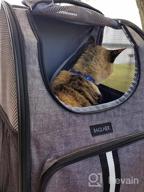 img 1 attached to Ventilated Thicker Bottom Pet Carrier Backpack For Small Dogs And Cats: Perfect For Hiking, Travel, And Outdoor Use In Green review by Jenny Howard